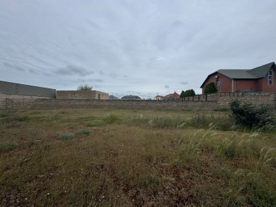 image 375265