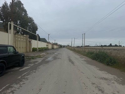image 375265