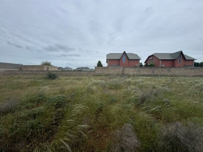 image 375265