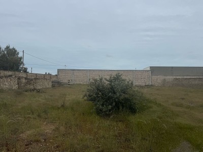 image 375265