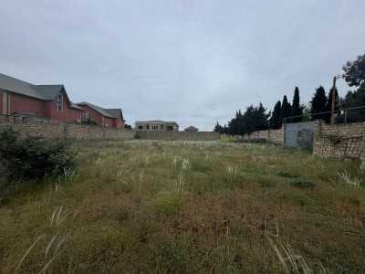 image 375265
