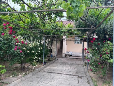 image 375277