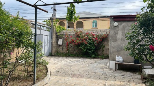 image 375277