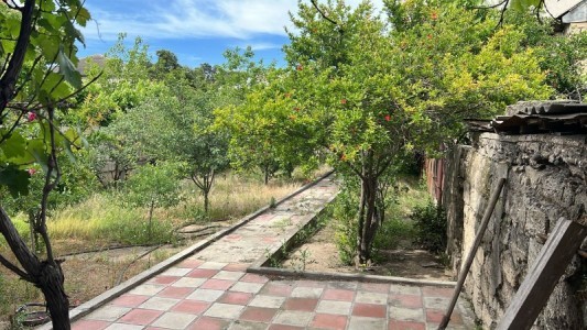 image 375277