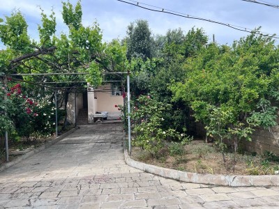 image 375277