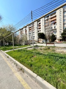 image 375279