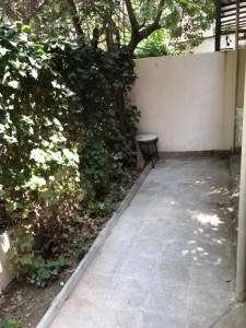 image 375281