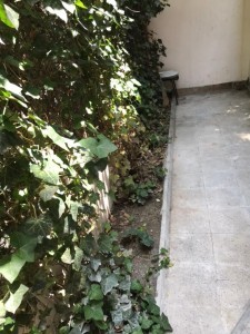 image 375281