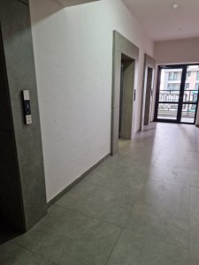 image 375285