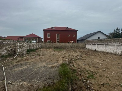 image 375290