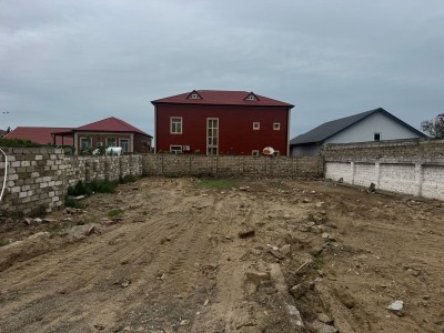 image 375290