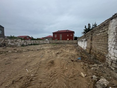 image 375290