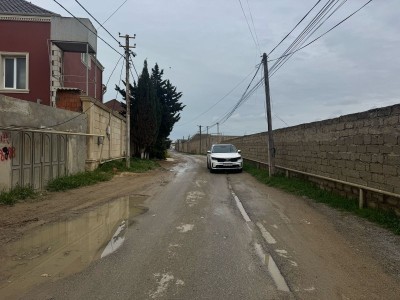image 375290