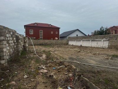 image 375290