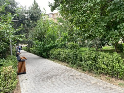 image 375295
