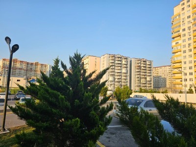 image 375300