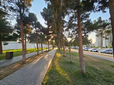 image 375315