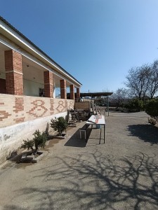 image 375317
