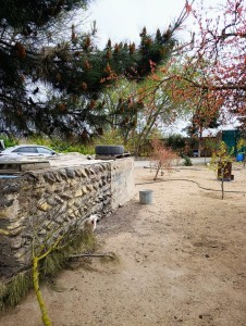 image 375317
