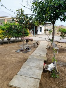 image 375317