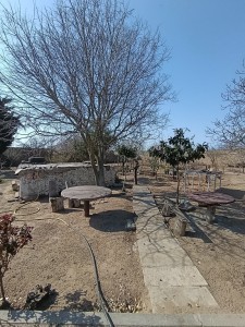 image 375317