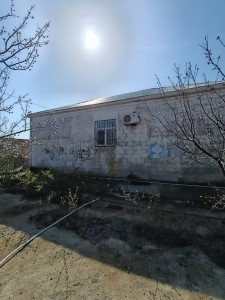 image 375317