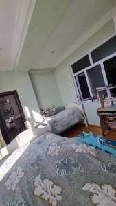 image 375318