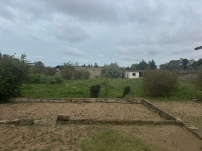 image 375320