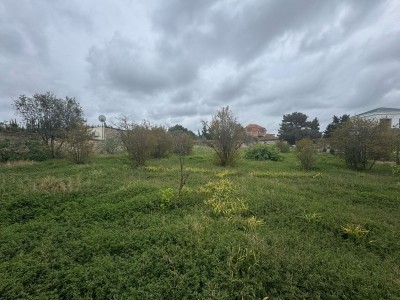 image 375320