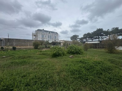 image 375320