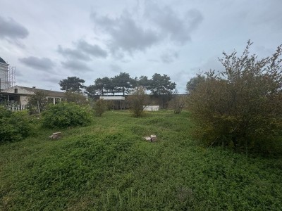 image 375320