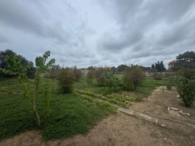 image 375320