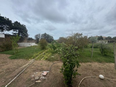 image 375320