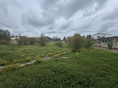 image 375320