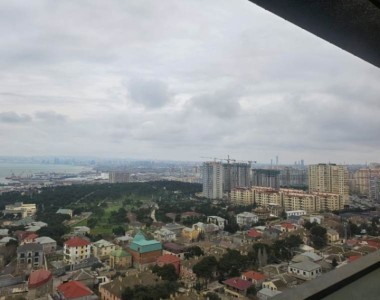 image 375334