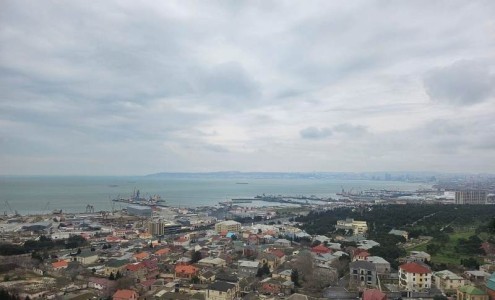 image 375334