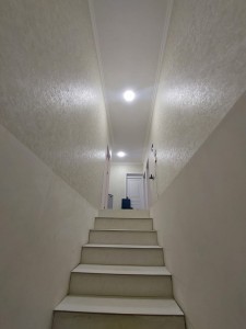 image 375336