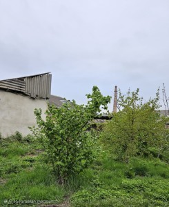 image 375341