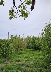 image 375341