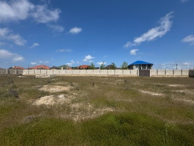 image 375394