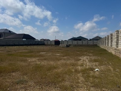 image 375394