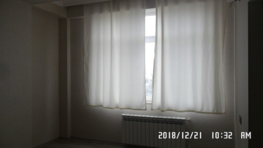 image 375419