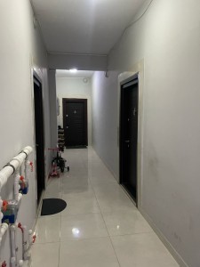 image 375420