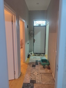 image 375433