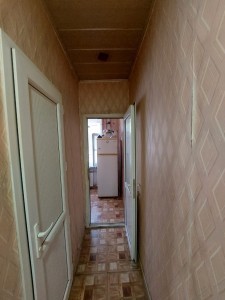 image 375437