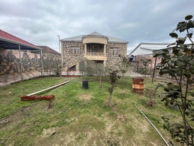 image 375439