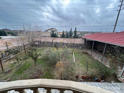 image 375439