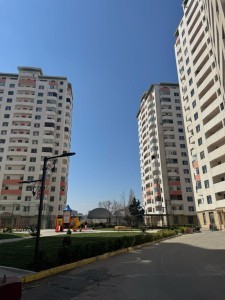 image 375449
