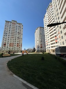 image 375449