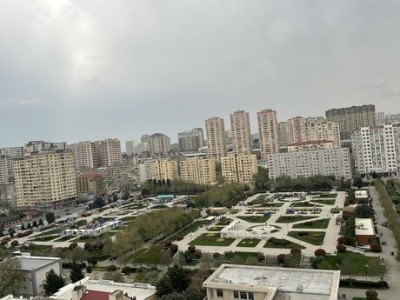 image 375451